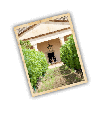 Vinification